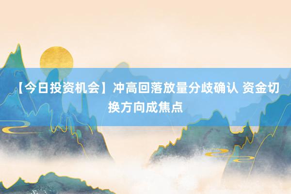 【今日投资机会】冲高回落放量分歧确认 资金切换方向成焦点