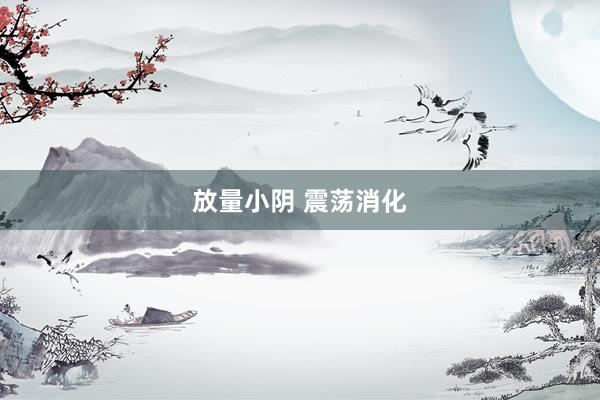 放量小阴 震荡消化