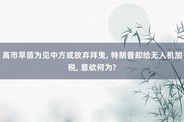 高市早苗为见中方或放弃拜鬼, 特朗普却给无人机加税, 意欲何为?