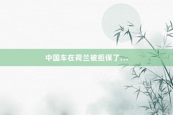 中国车在荷兰被拒保了…