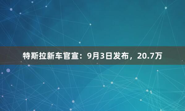 特斯拉新车官宣:9月3日发布,20.7万