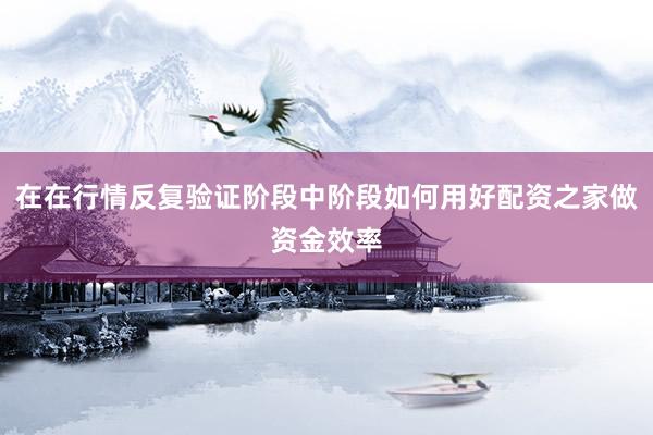 在在行情反复验证阶段中阶段如何用好配资之家做资金效率