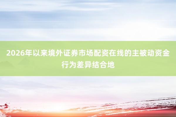 2026年以来境外证券市场配资在线的主被动资金行为差异结合地