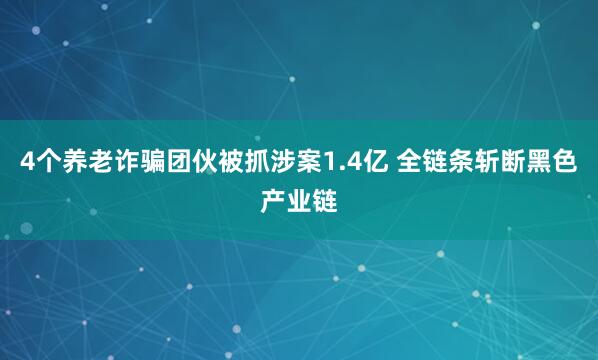 4个养老诈骗团伙被抓涉案1.4亿 全链条斩断黑色产业链
