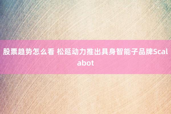 股票趋势怎么看 松延动力推出具身智能子品牌Scalabot