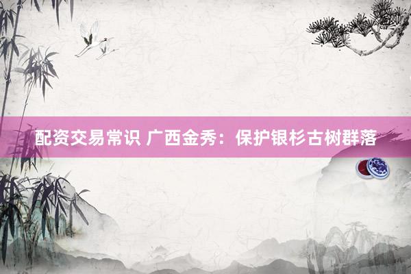 配资交易常识 广西金秀：保护银杉古树群落