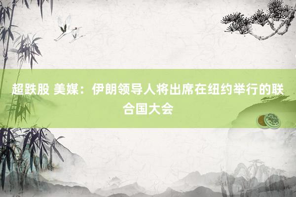 超跌股 美媒：伊朗领导人将出席在纽约举行的联合国大会