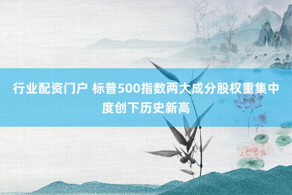 行业配资门户 标普500指数两大成分股权重集中度创下历史新高